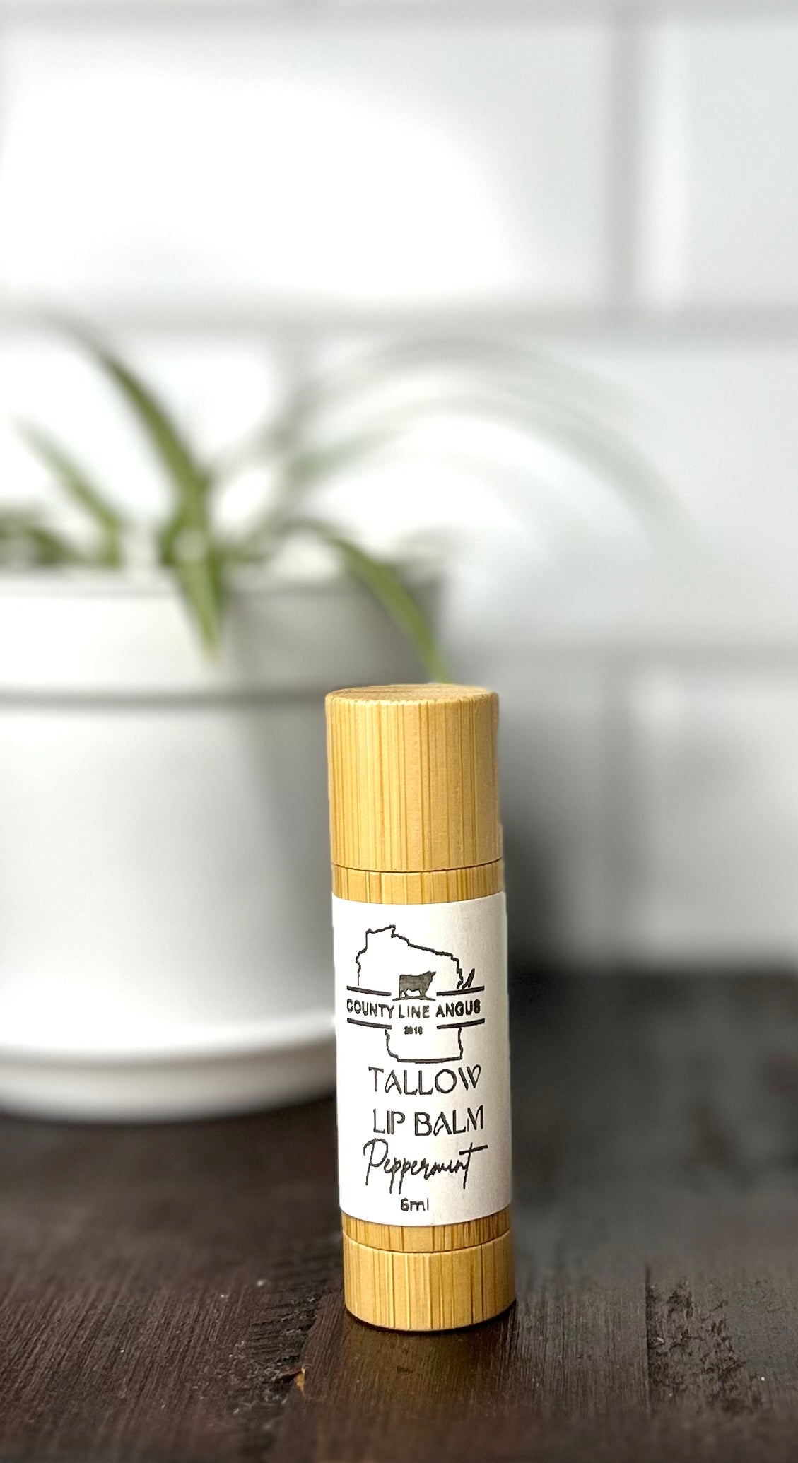 Tallow Lip Balm